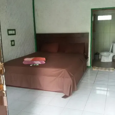 Cendrawasih Bungalows Hotel